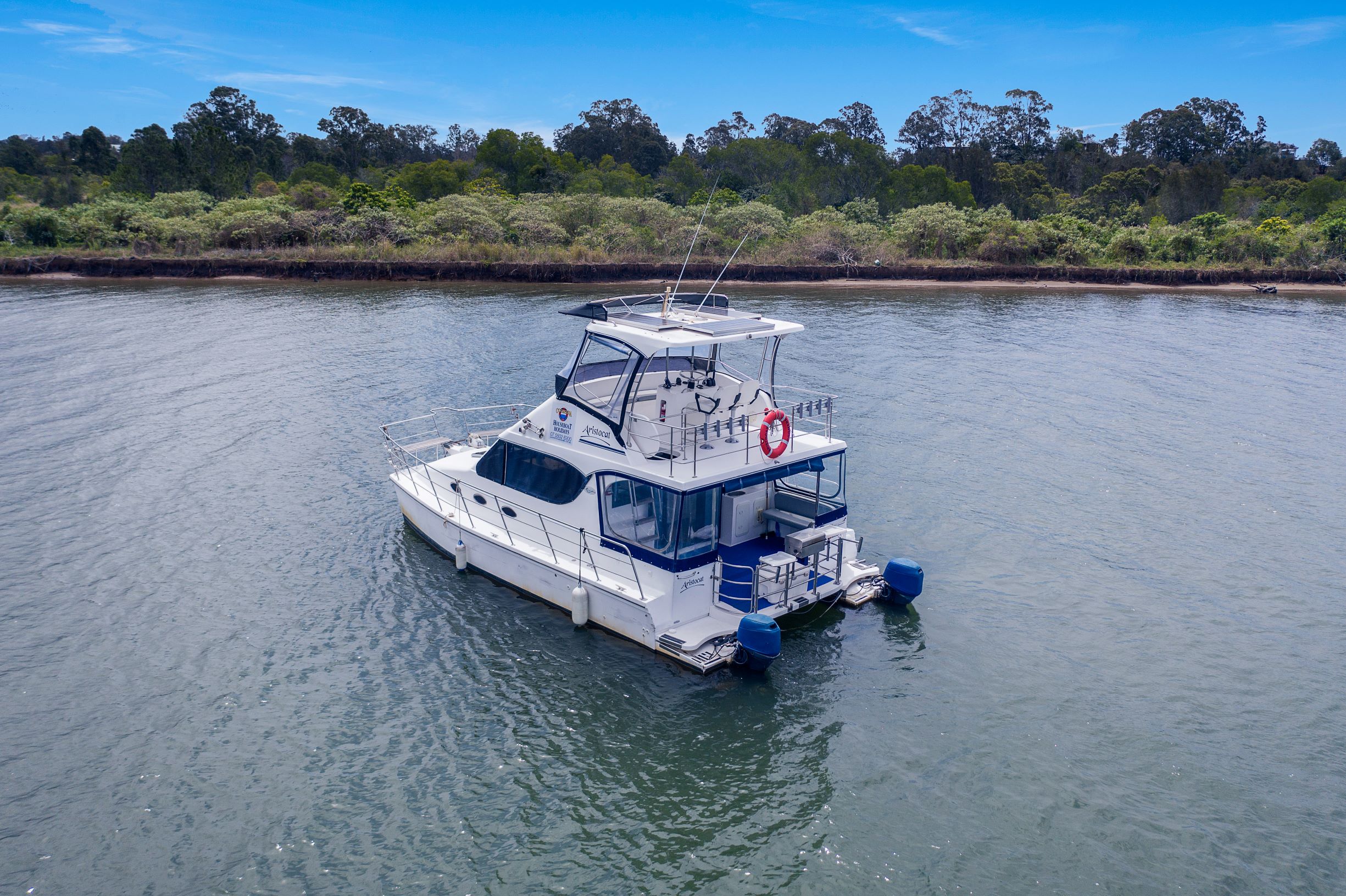 Aristocat gallery image 2